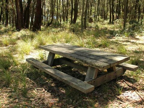 Wasp Head picnic area