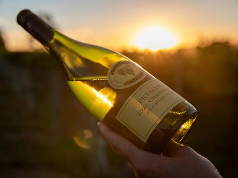 Cool Expressions of Chardonnay