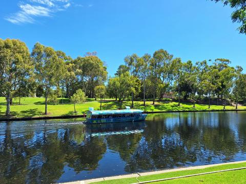 Discover Adelaide: City Walk and River Cruise