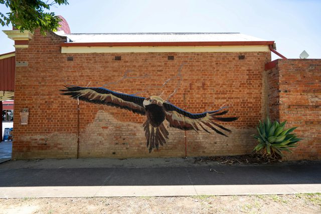 Wedge-Tailed Eagle Mural