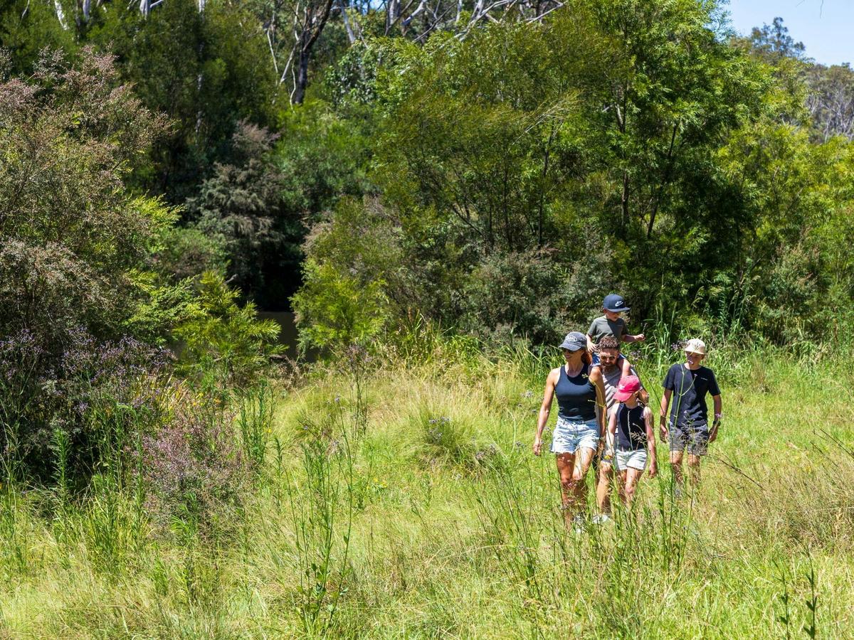Bush walk near Bargo River Viaduct