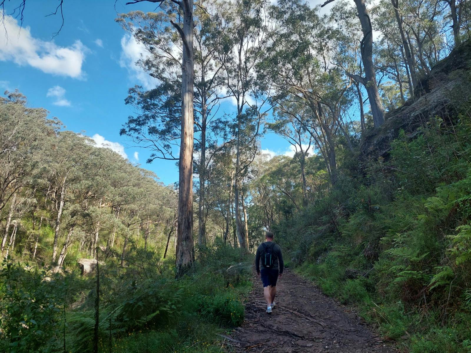 Walking path along Bargo River