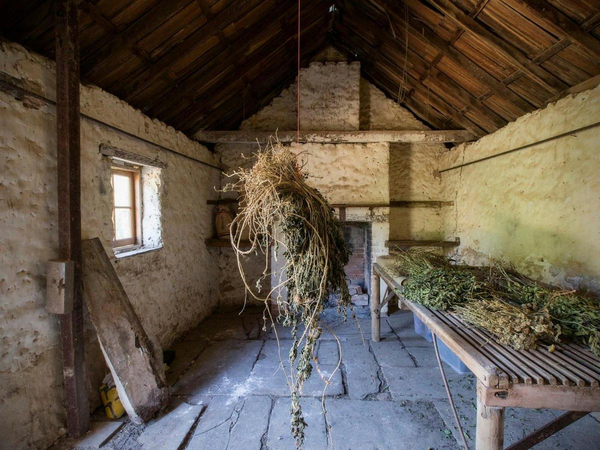 preparation shed