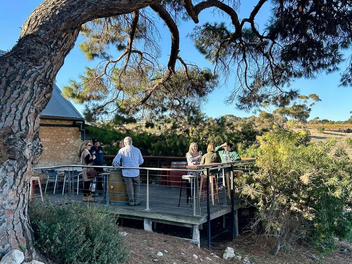 Biodynamic Tour & Taste Experience at Paxton Wines