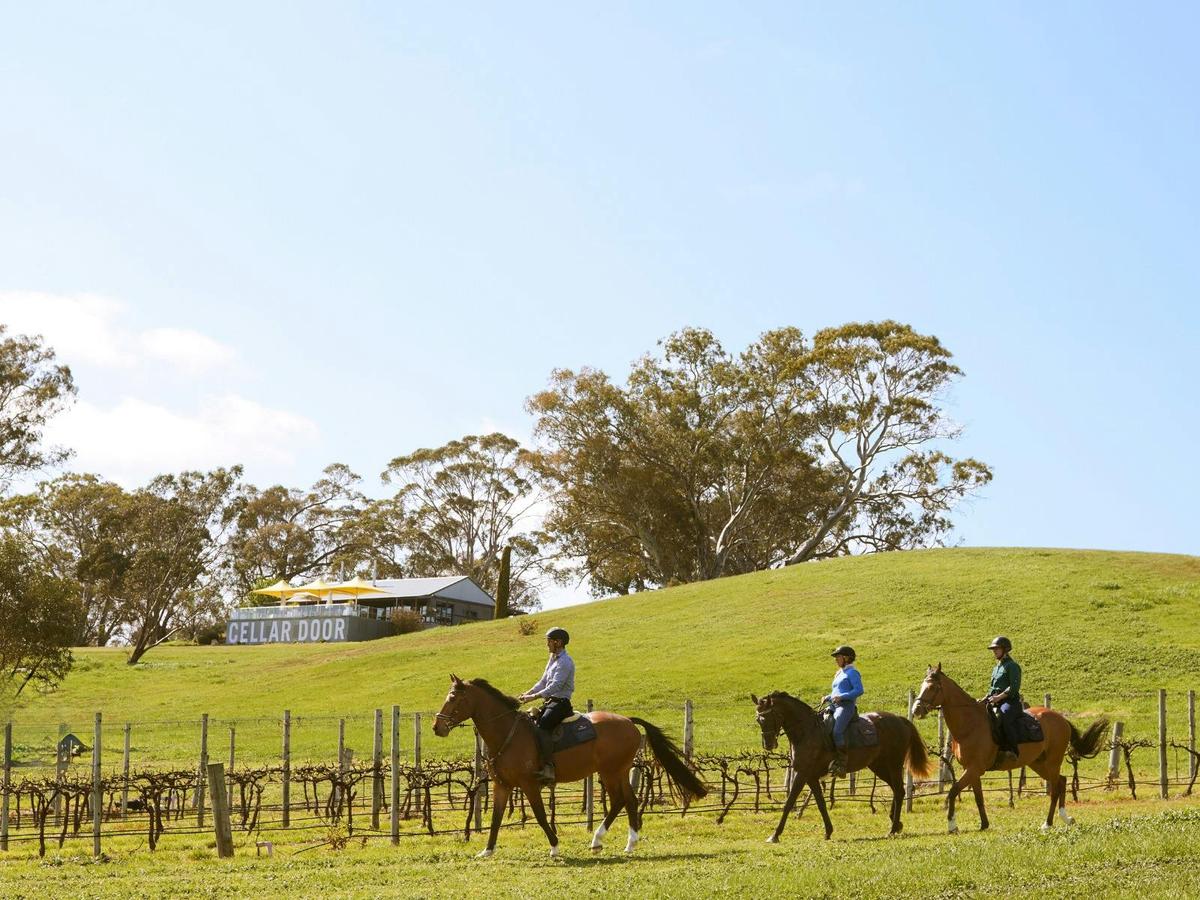Petaluma Wines & Horse-Riding Experiences