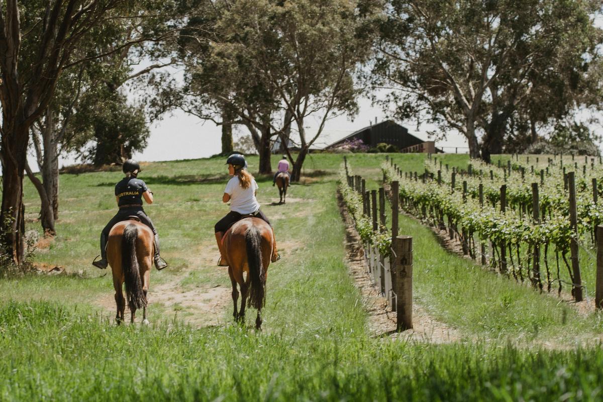 Romantic Private Horse Trail Ride Package at Petaluma