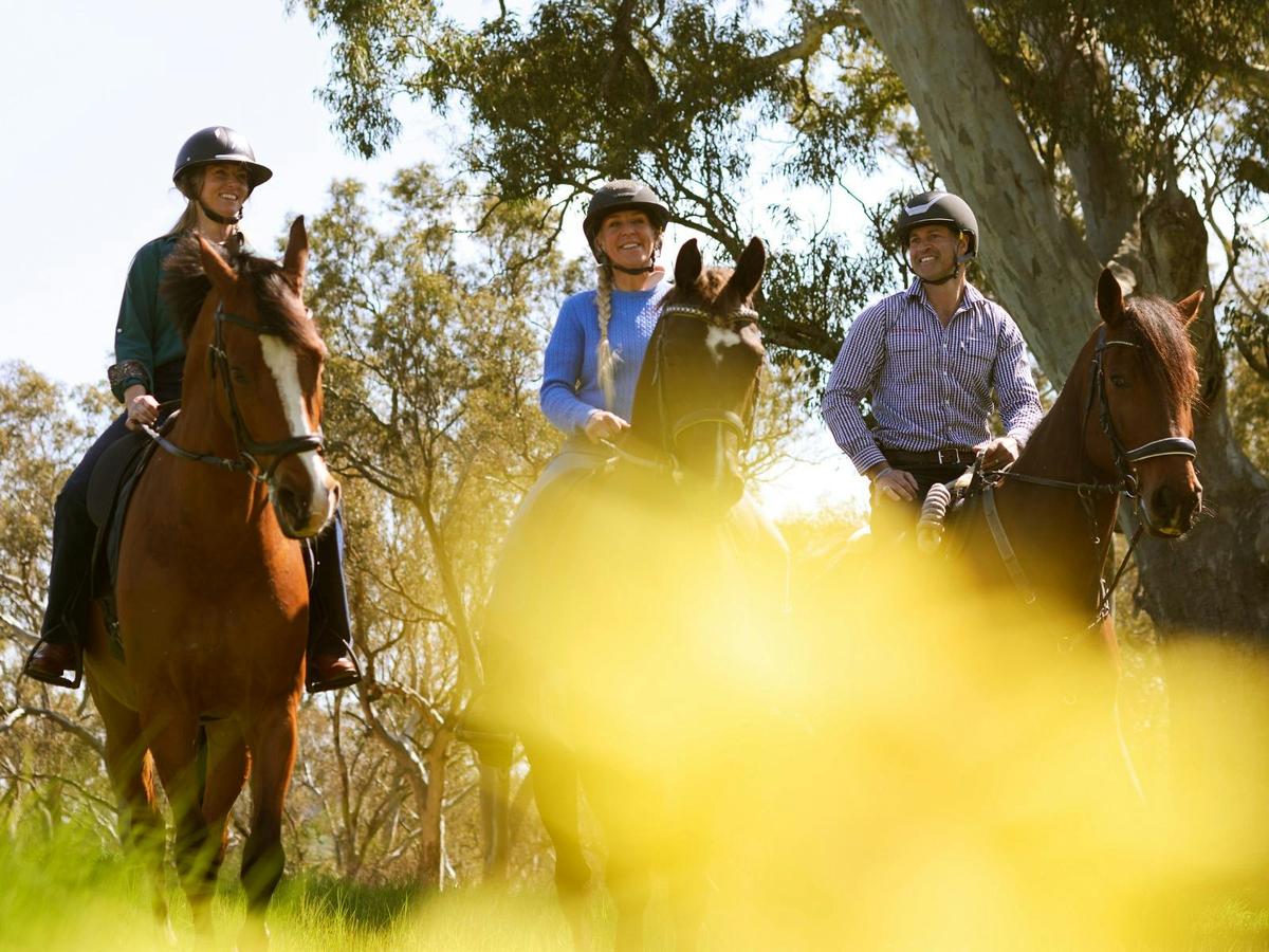 VIP Private Horse Trail Ride & Lunch with Olympian Megan Jones at Petaluma