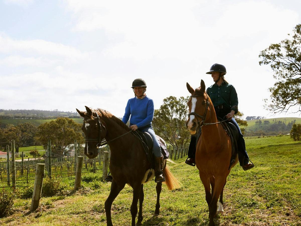 VIP Private Horse Trail Ride & Lunch with Olympian Megan Jones at Petaluma
