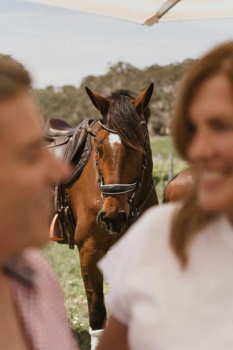 Romantic Private Horse Trail Ride Package at Petaluma