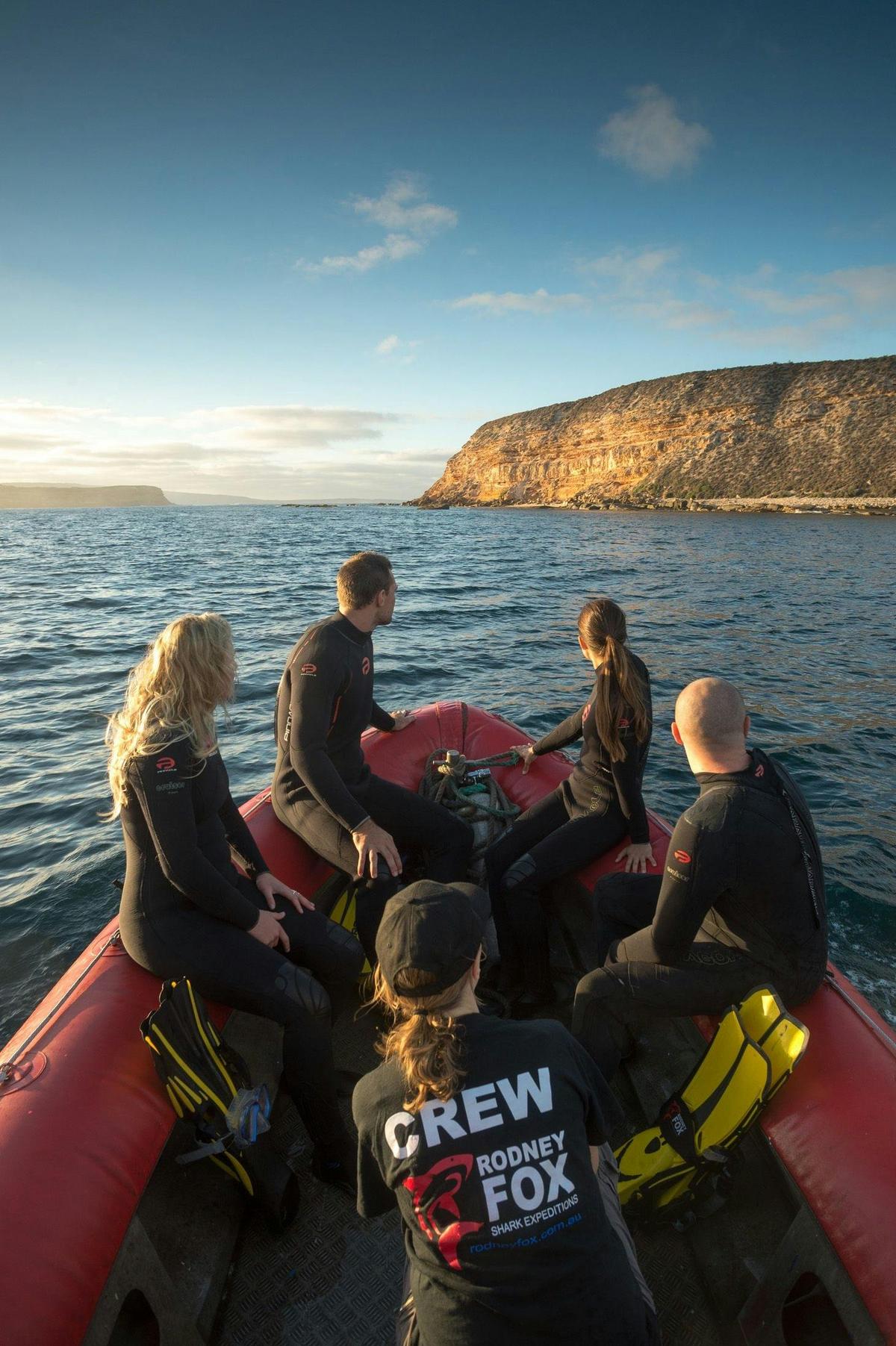 Great White Expedition (4 Nights)