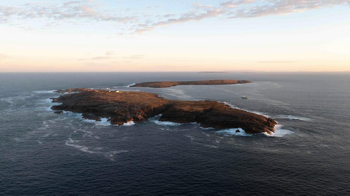 MV Rodney Fox at the Neptune Islands South Australia