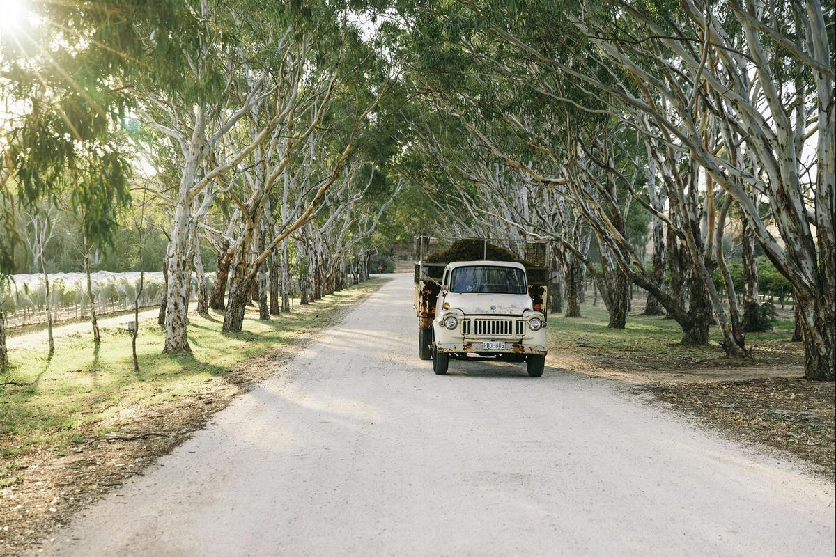 The Avenue and The Bedford