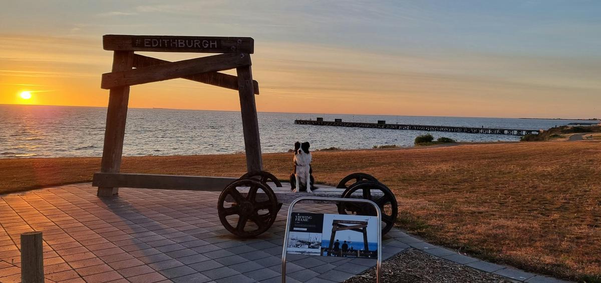 Edithburgh's Viewing Frame Overlooking the Historic Jetty