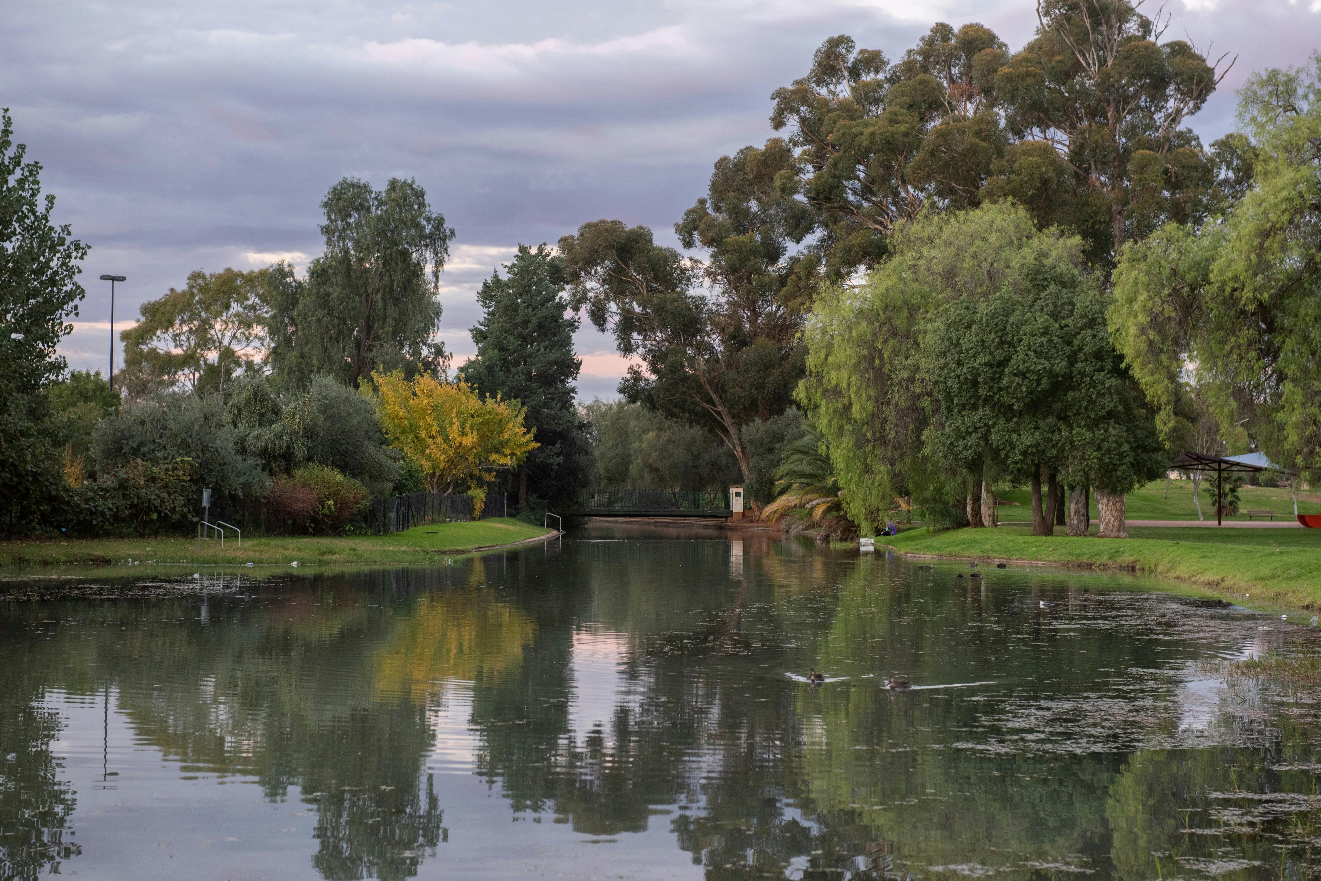 The Main Canal - Griffith