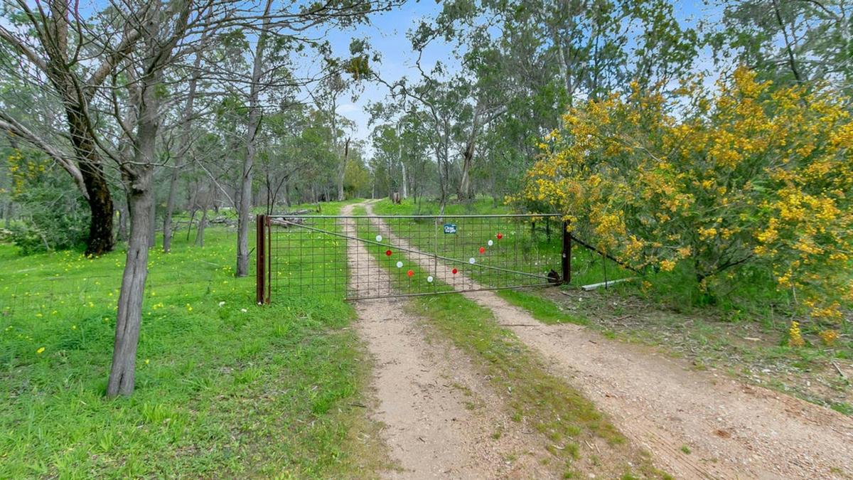 Sandy Hill: Lyndoch, Barossa Valley