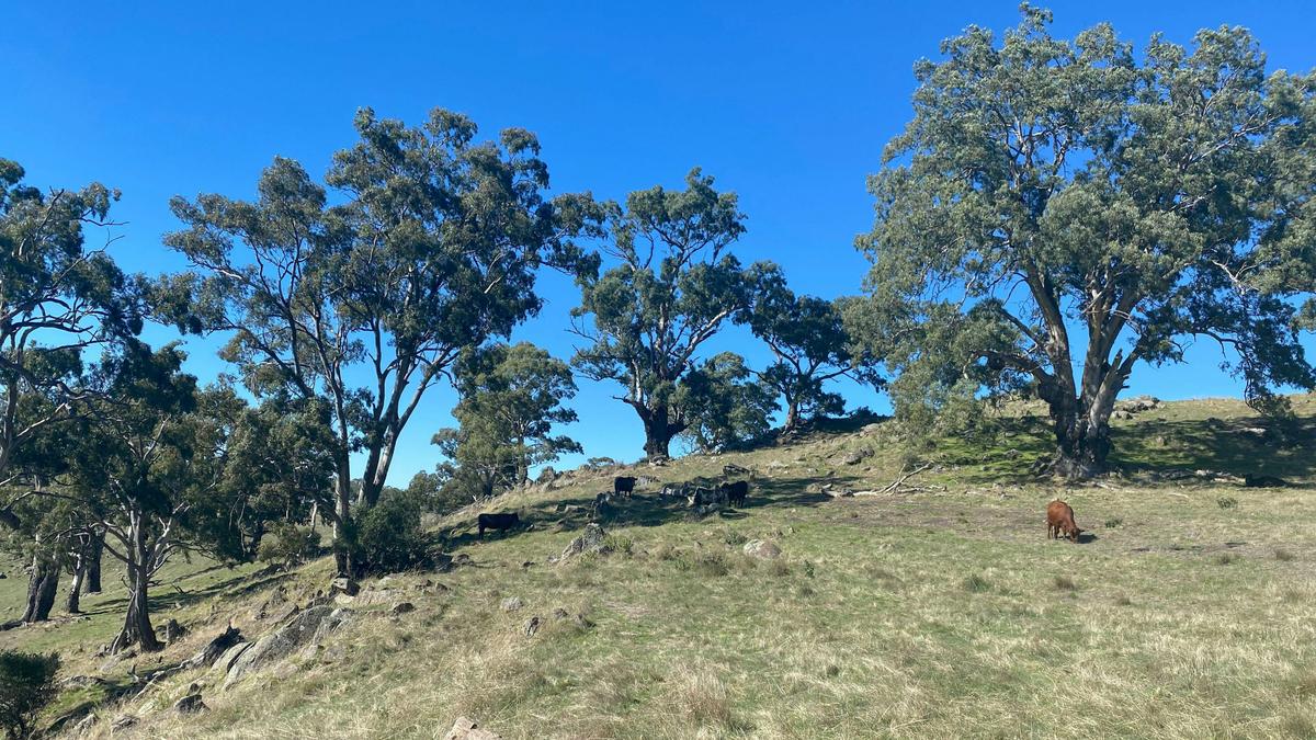 Rocky Valley Barossa Hideaway