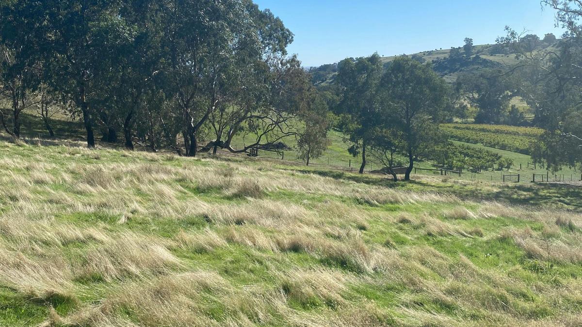 Rocky Valley Barossa Hideaway