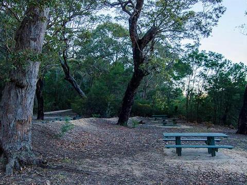 Werri Berri picnic area