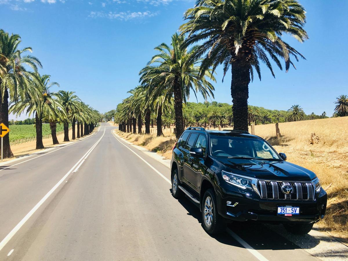 Seppeltsfield Road - Barossa Valley