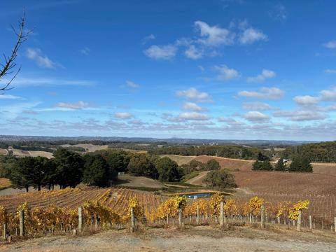 Adelaide Hills Luxury Wine Tour