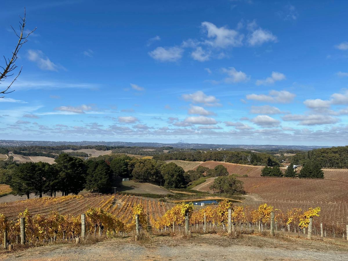 Adelaide Hills Luxury Wine Tour