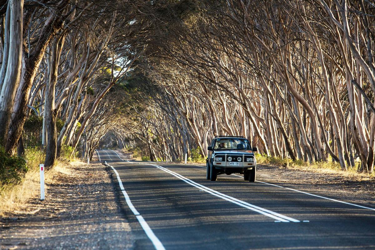 Explore Kangaroo Island in your Own Car over Three Days