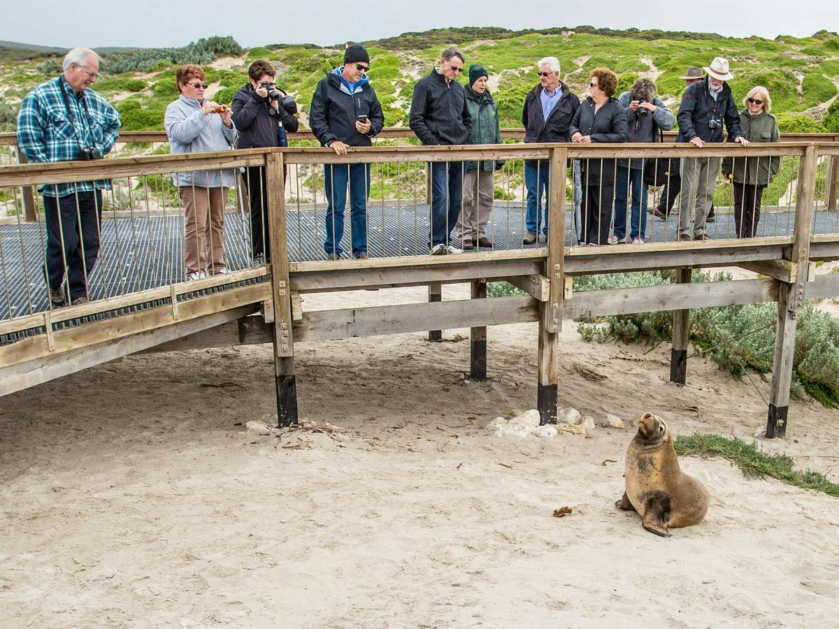 Overnight Tour: 2 Day Ultimate Kangaroo Island
