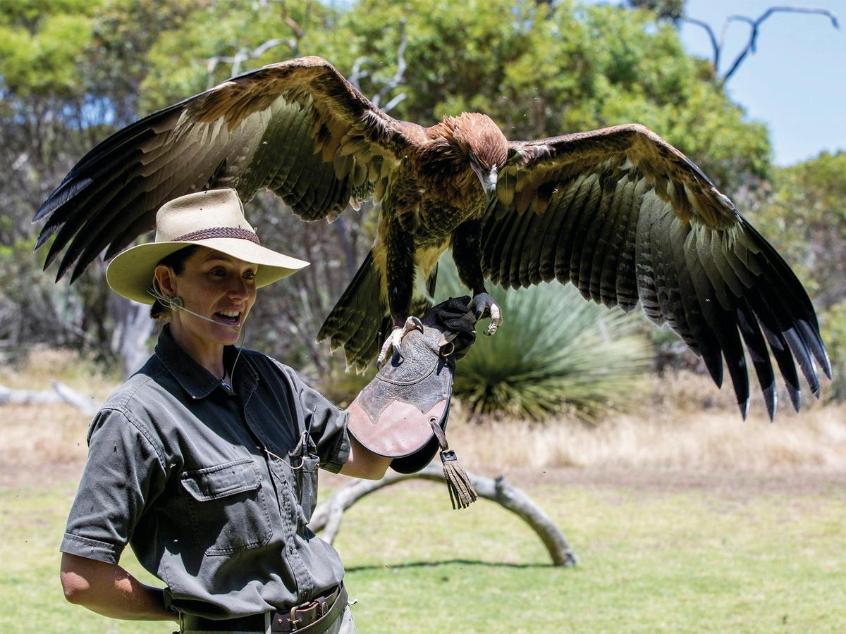 Overnight Tour: 2 Day Ultimate Kangaroo Island