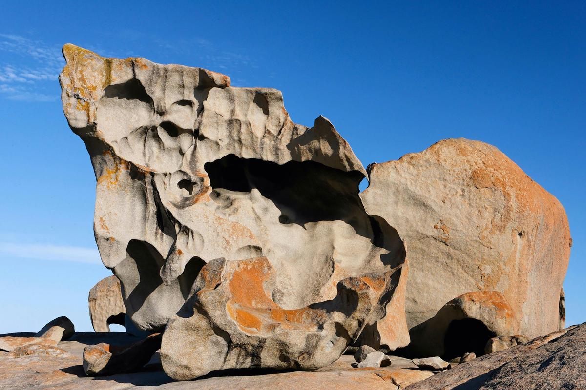 Day Tour: Kangaroo Island Experience