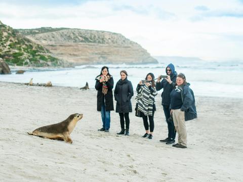 SeaLink Kangaroo Island Tours and Packages