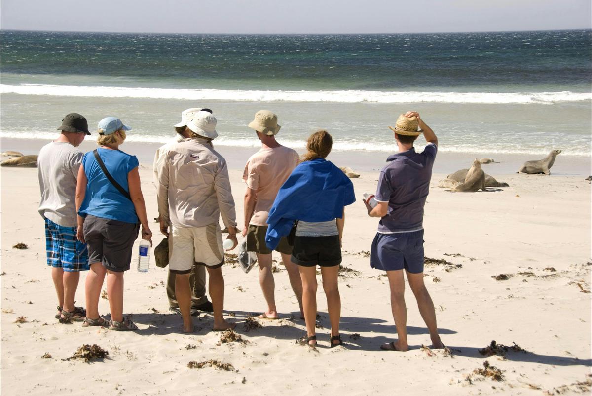 Eight Day Adelaide, Kangaroo Island and Murray River