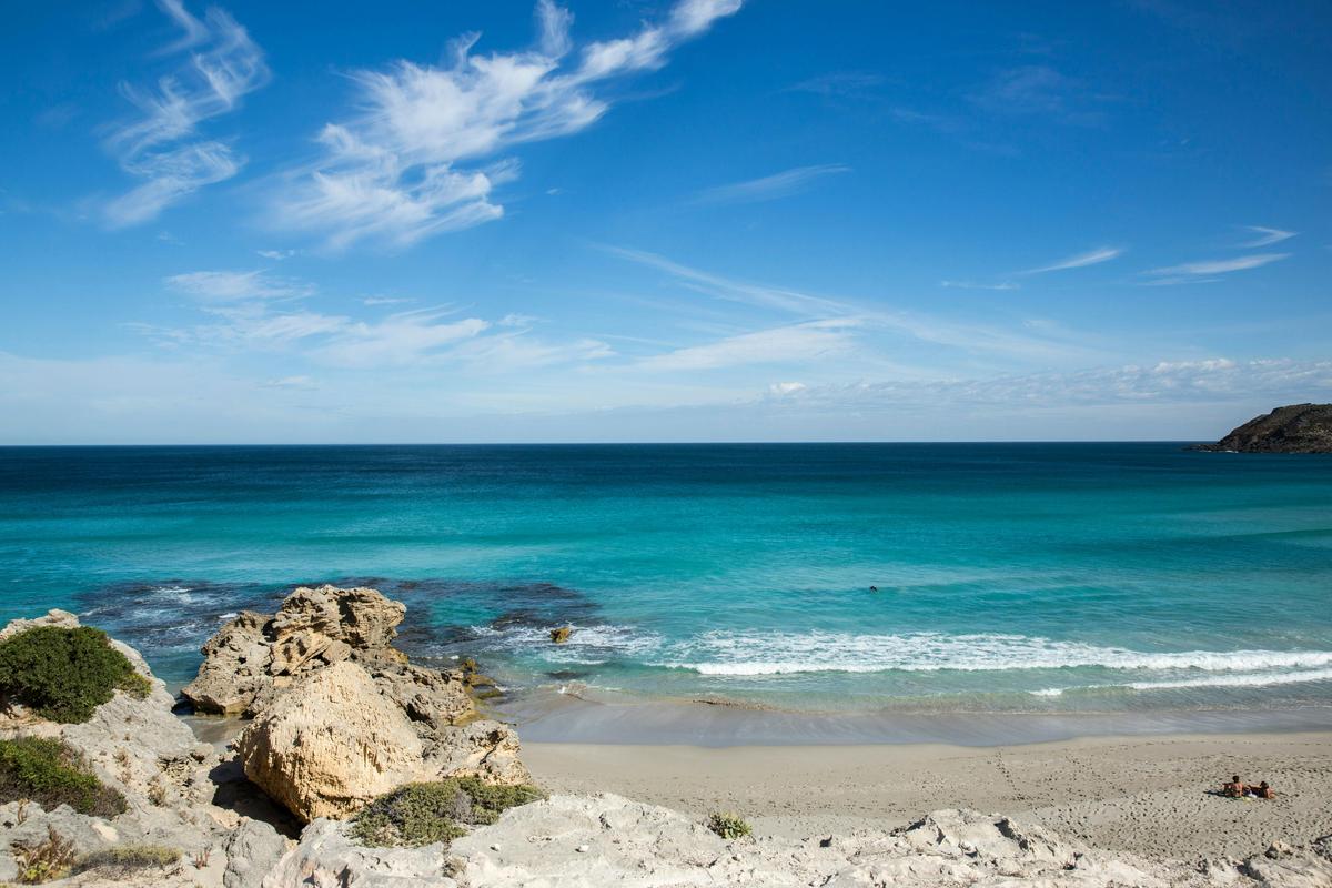 Self-Drive Package: Four Day Emu Bay Wine and Wildlife