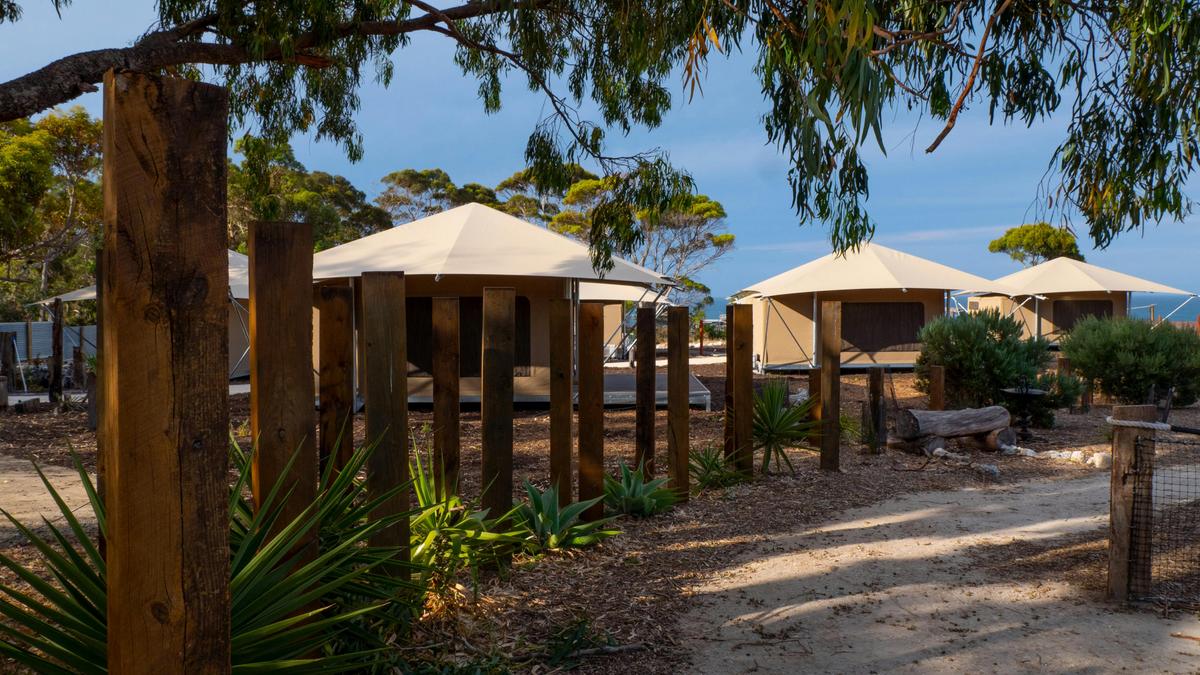 Self-Drive Package: Three Day Glamping & The Fig Tree