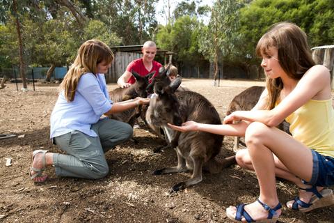 Self-Drive Package: Four Day Emu Bay Wine and Wildlife