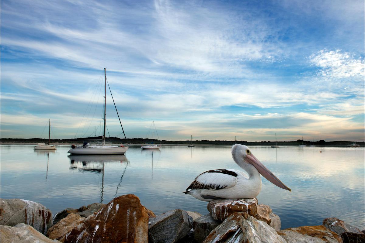Self-Drive Package: Three Day American River Indulgence