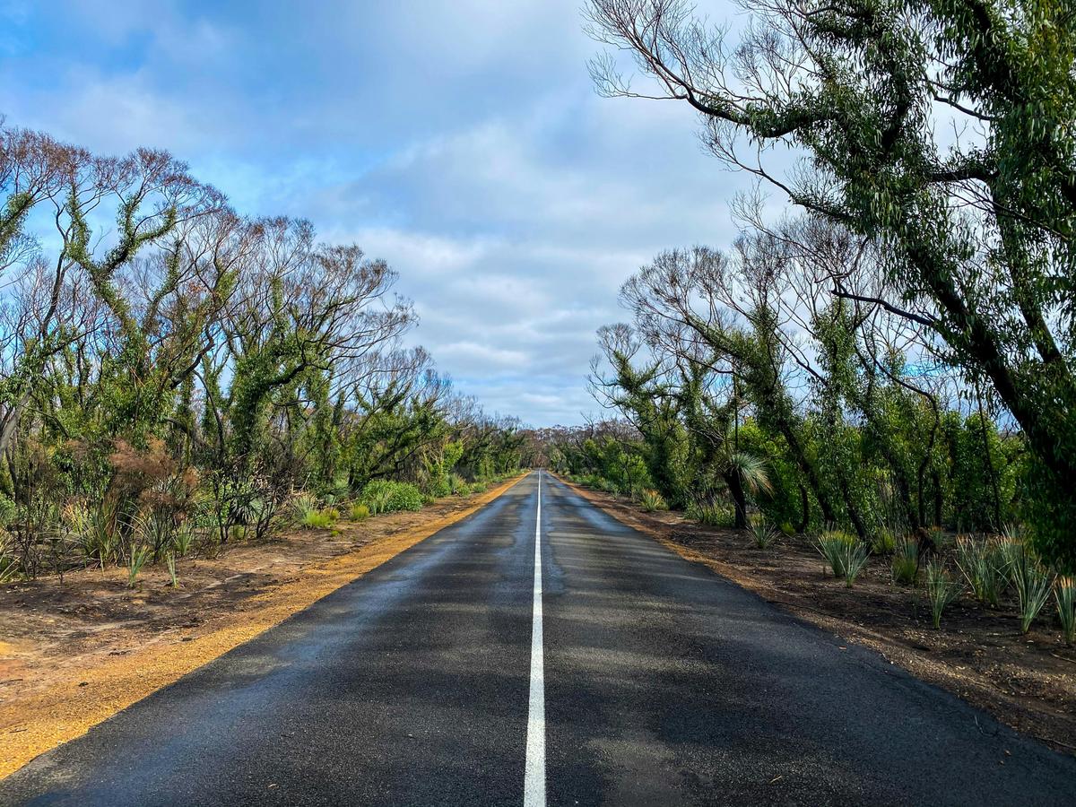 Overnight Tour: 2 Day Ultimate Kangaroo Island