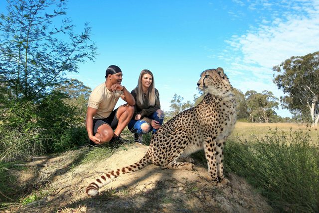 Wild Cat Conservation Centre