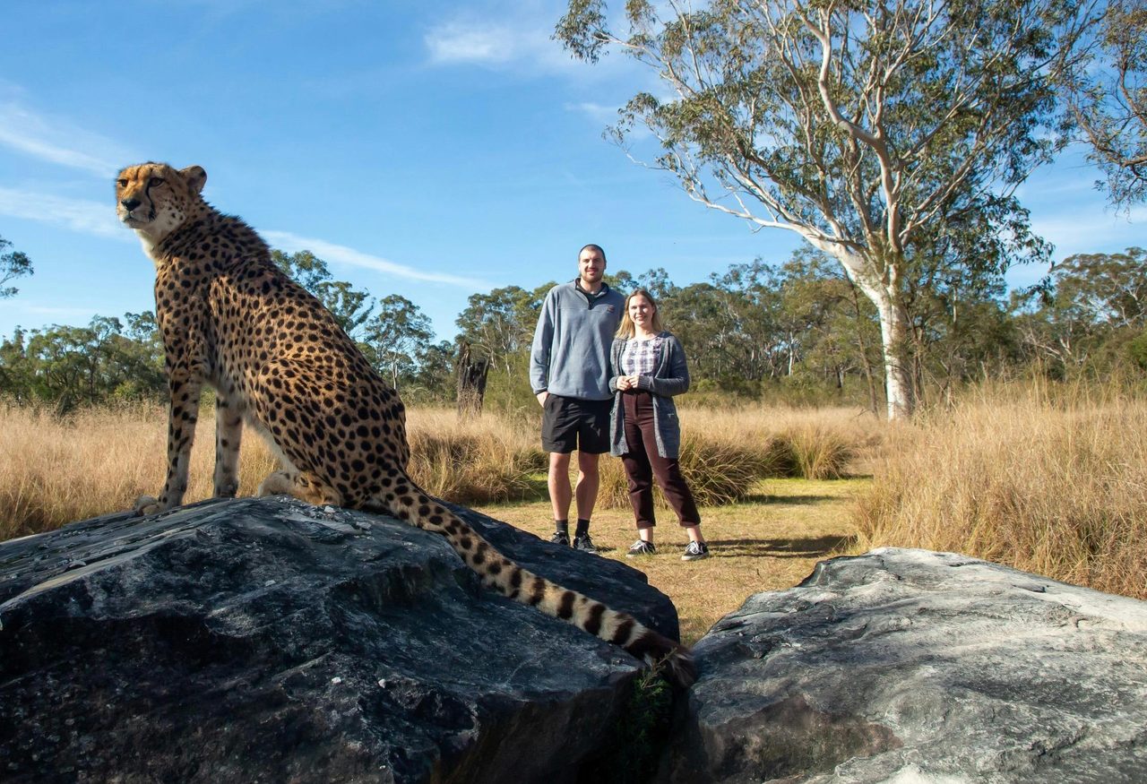 Ultimate Wild Cat Experience