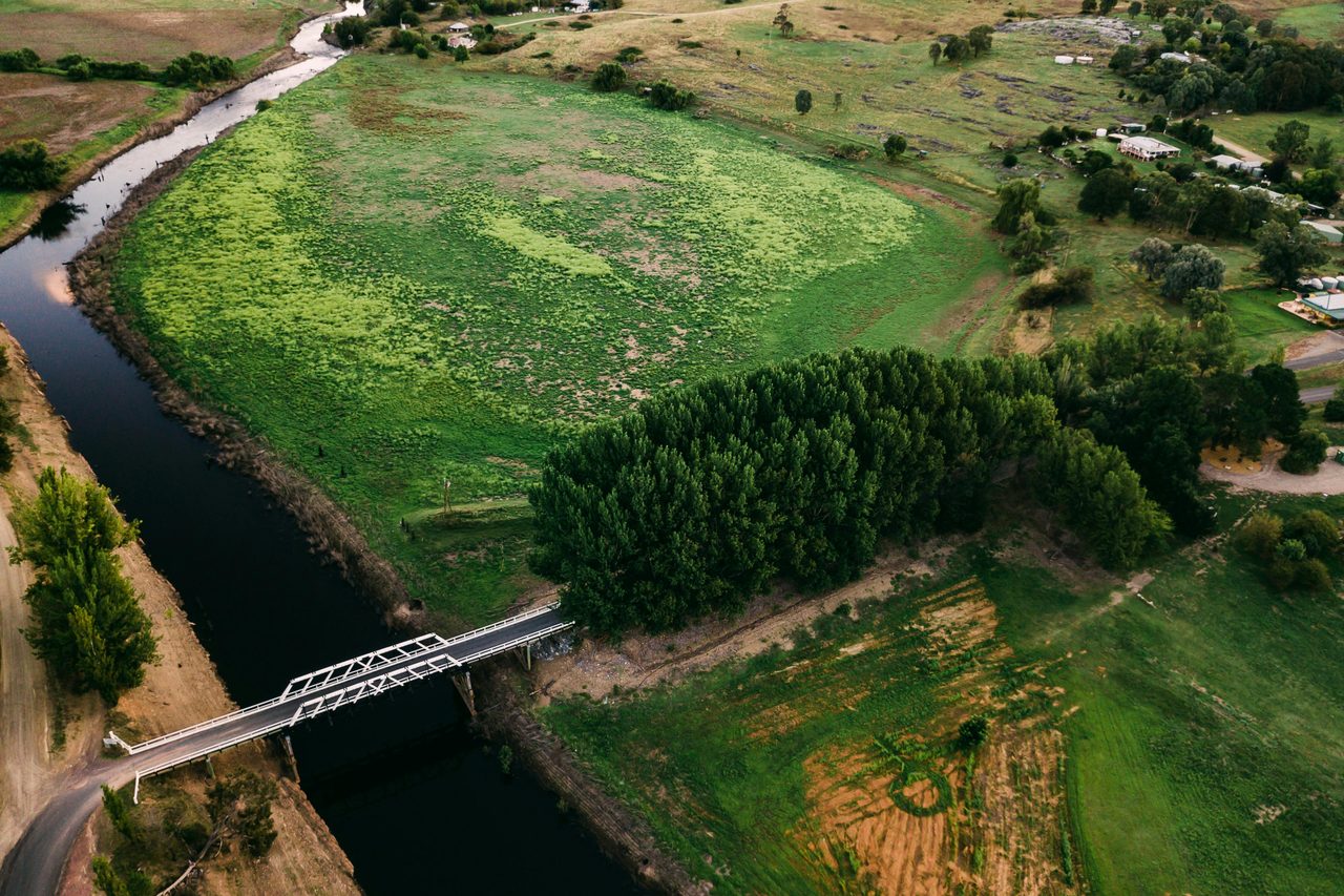 Bridge