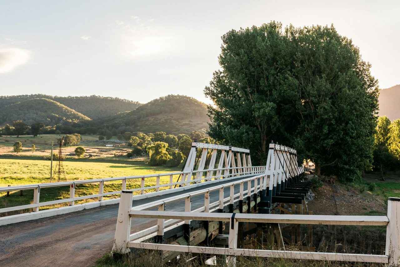Bridge