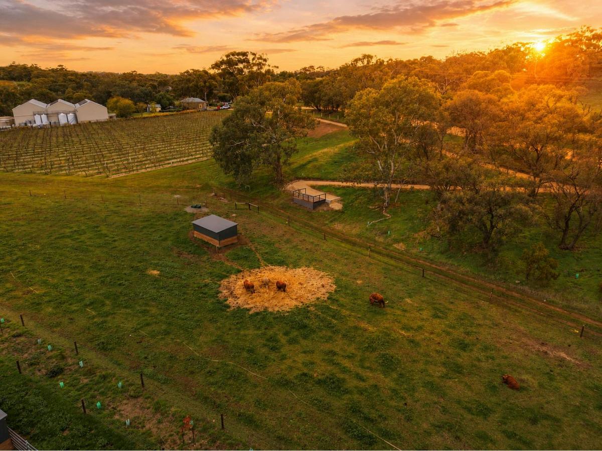 Two Hands Wines Kraehe Nature Trail Sunrise