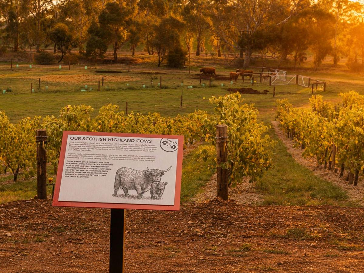 Two Hands Wines Nature Trail