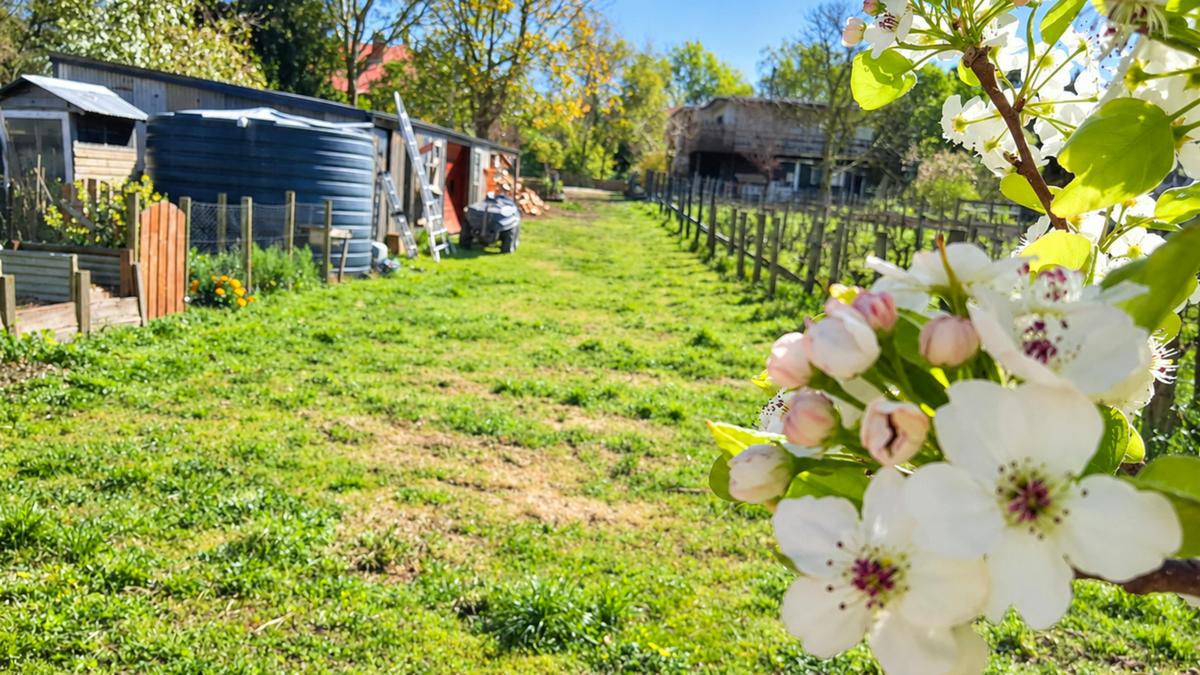 Potters Hill Farm