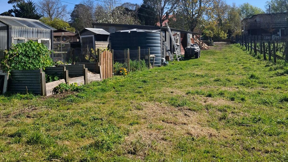 Potters Hill Farm