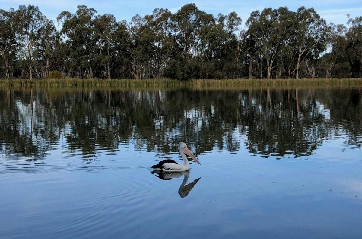 One way cruise to OR from the Woolshed Brewery