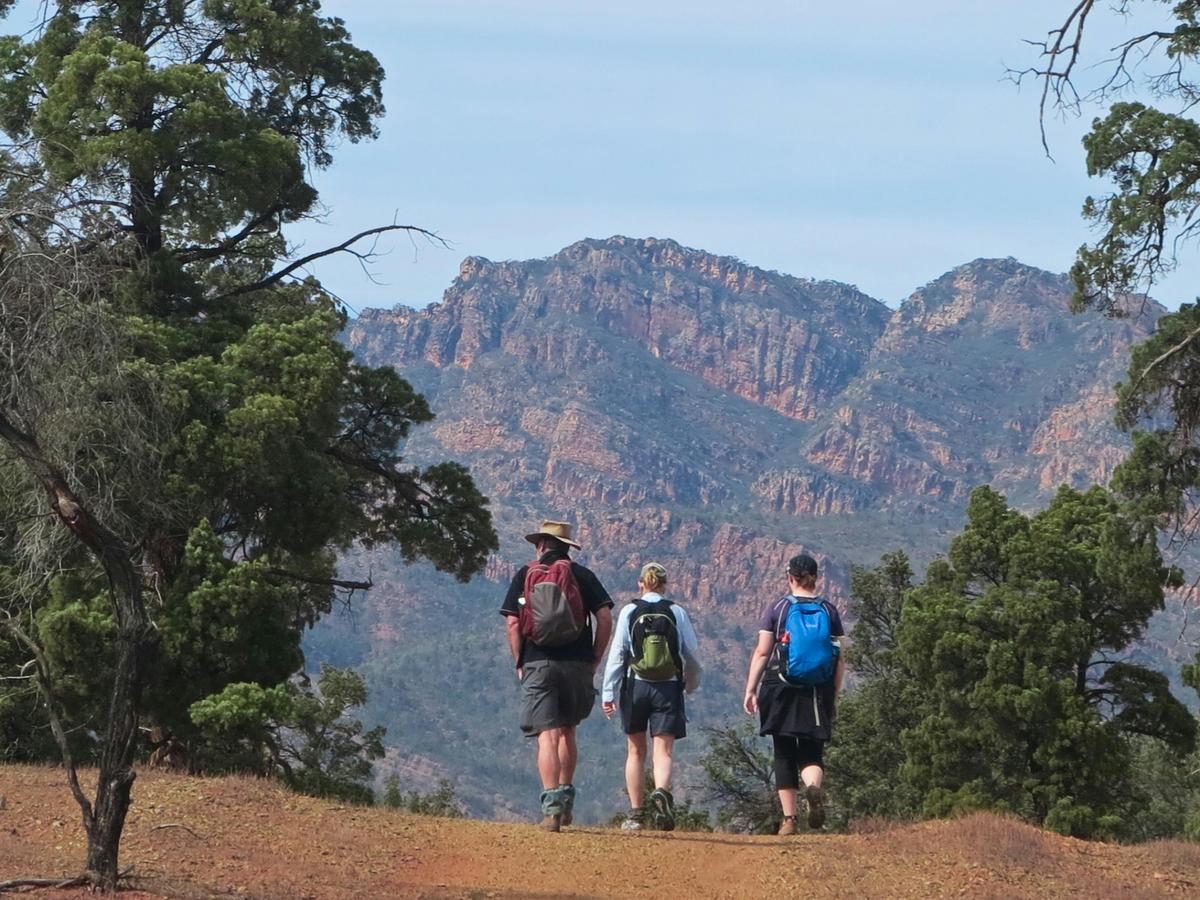 Flinders by Foot - Three to Five Day Guided Walks