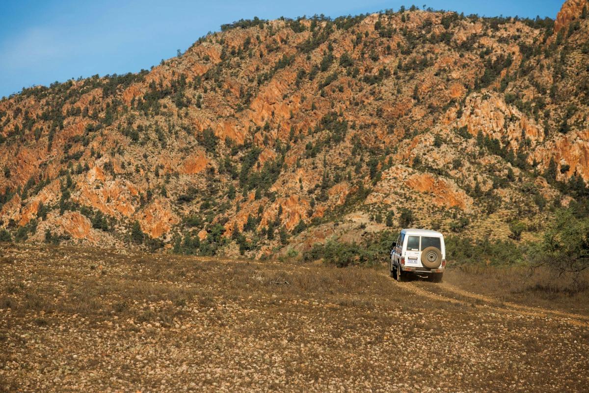 Central Flinders Explorer Tour