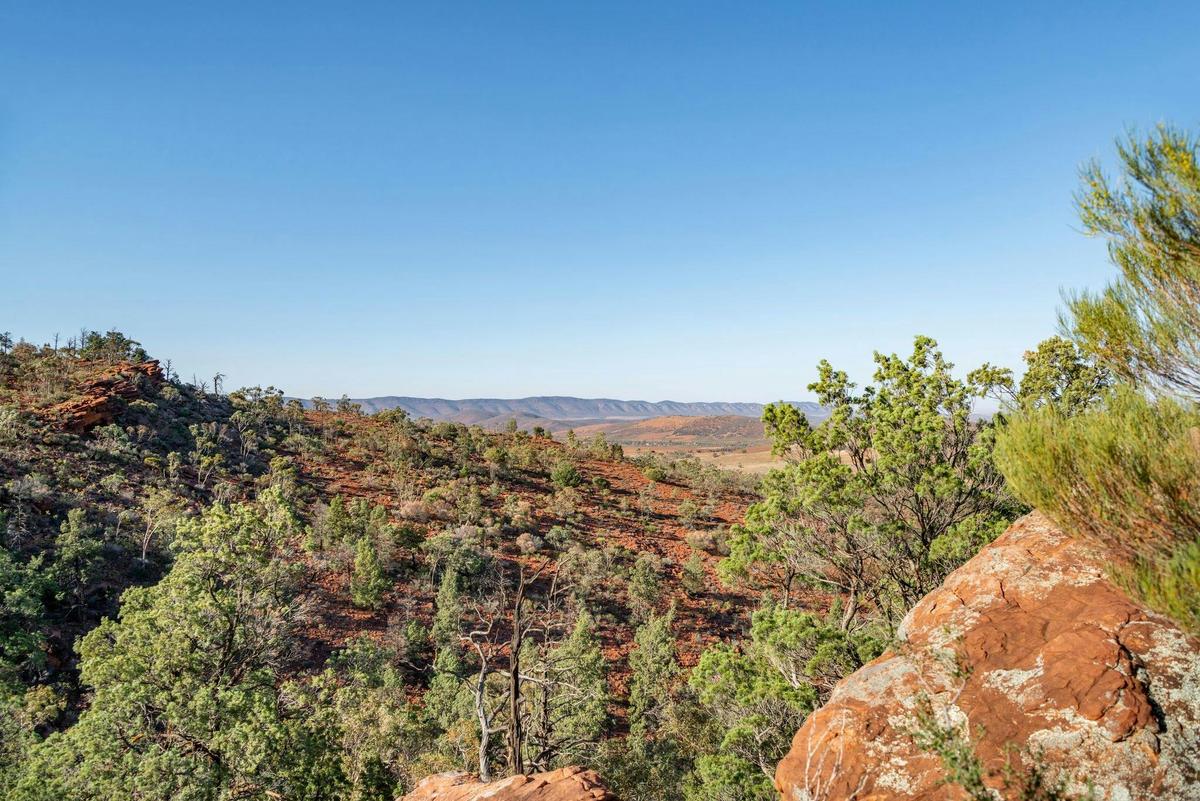 Daybreak Walk - Three Kilometre Loop