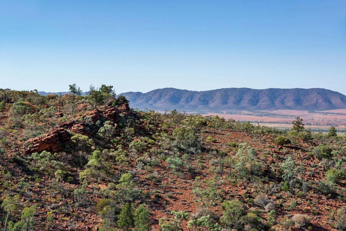 Flinders by Foot - Three to Five Day Guided Walks