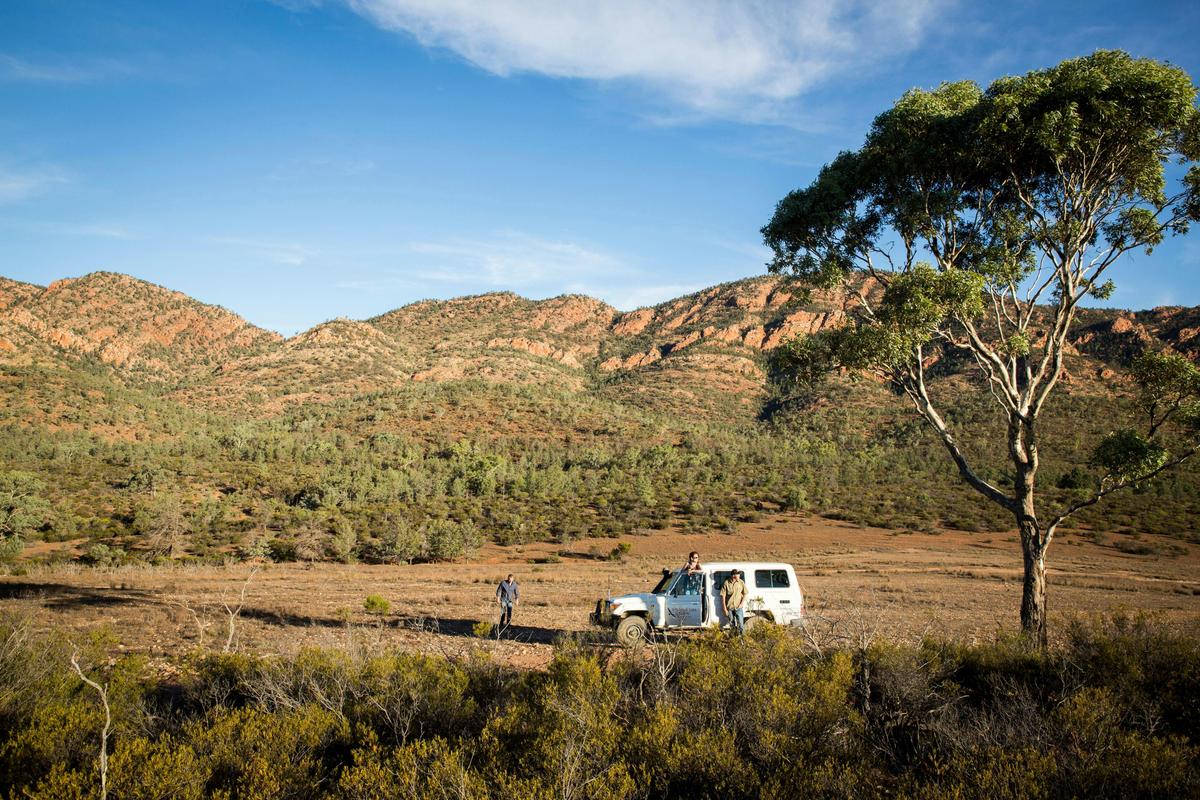 Arkapena Scenic 4WD Tour